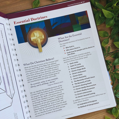 DeoDaily™ Bible Charts, Maps & Time Lines